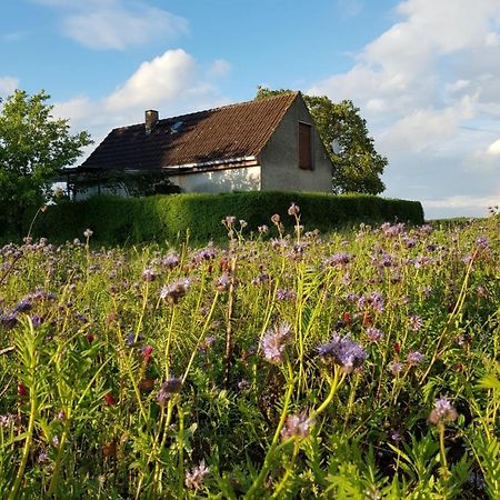 Ferienhaus Gransee Unmittelbar Am Stechlinsee - Radweg Exterior foto